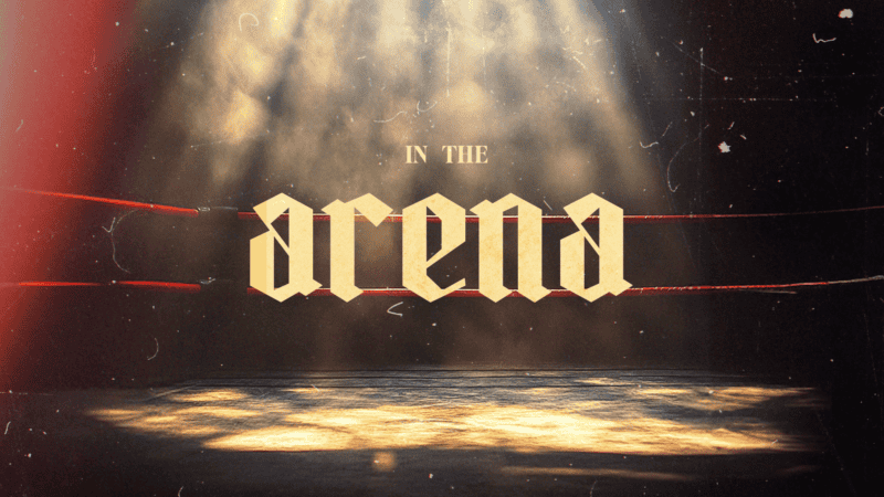 In The Arena