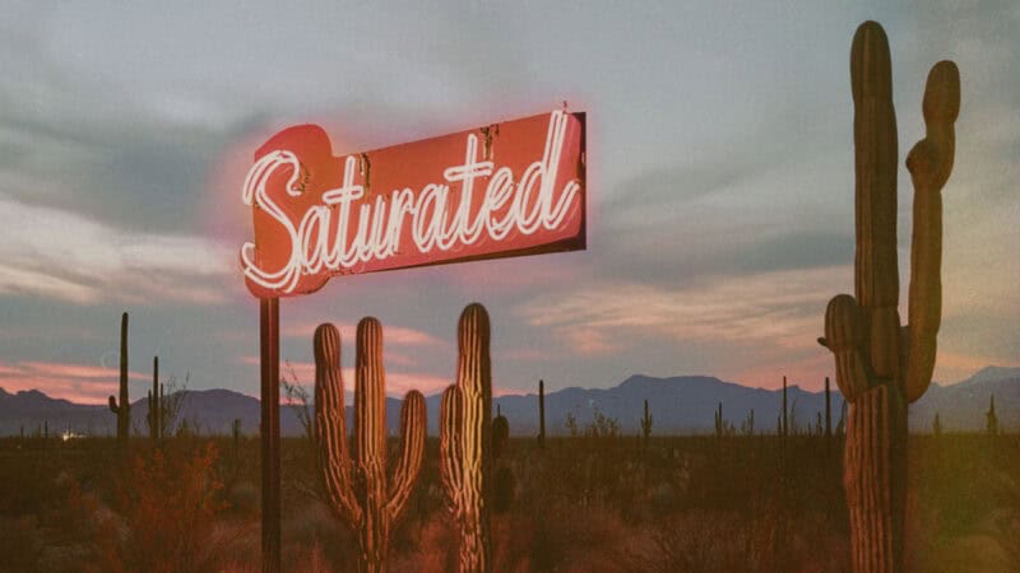 Saturated 2025